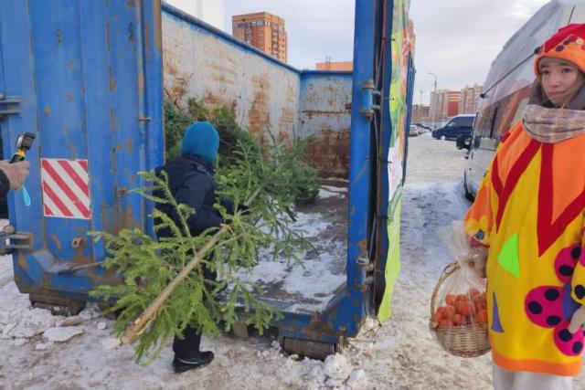 В Уфе стартовала экологическая акция «Елки в щепки»