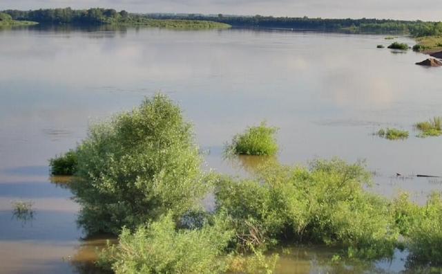 Уровни крупнейших рек Башкирии начали снижаться