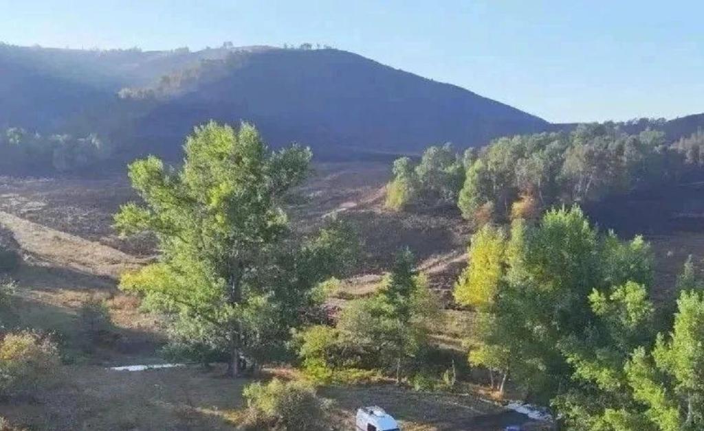 Власти заявили о стабилизации ситуации с лесными пожарами на юге Башкирии