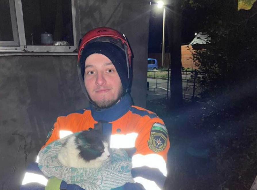 В Башкирии спасатели сняли кошку с четырехметрового дерева