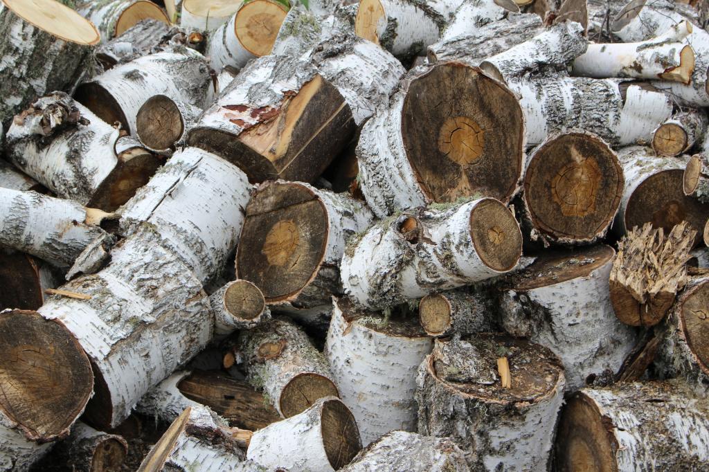 Башкирия экспортировала переработанный лес в 15 стран 