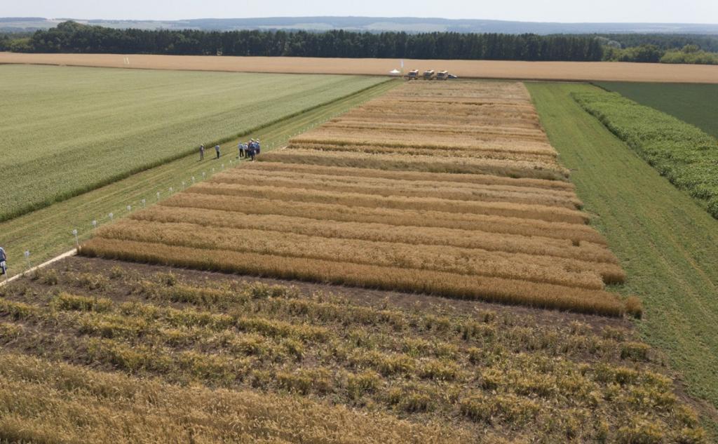 Крупным инвесторам в Башкирии разрешат закладывать арендованную землю