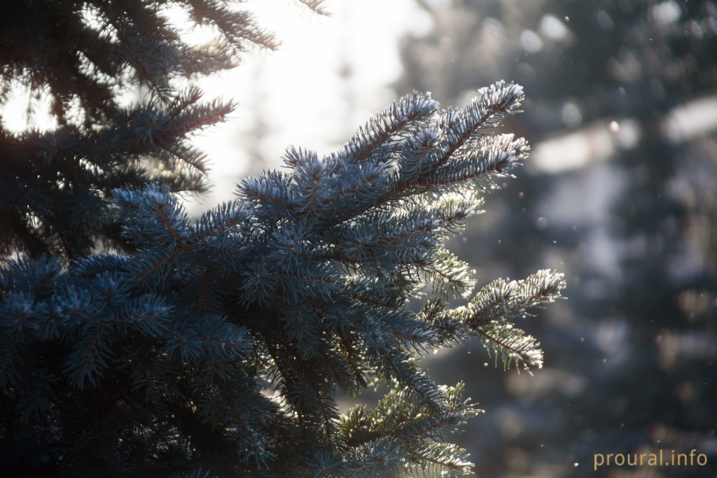 DSC_8798.jpg DSC_8798.jpg