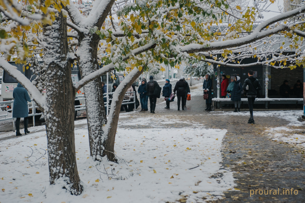 первый снег 2019 улица прохожие город зима (4).jpg