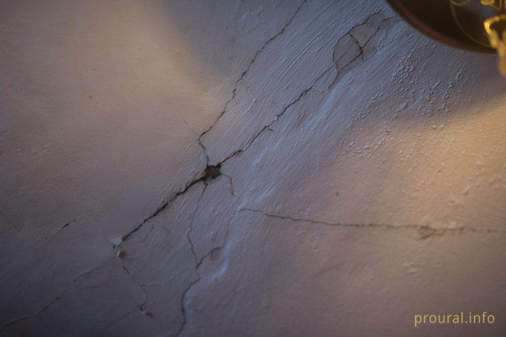 DSC_1558.jpg DSC_1558.jpg