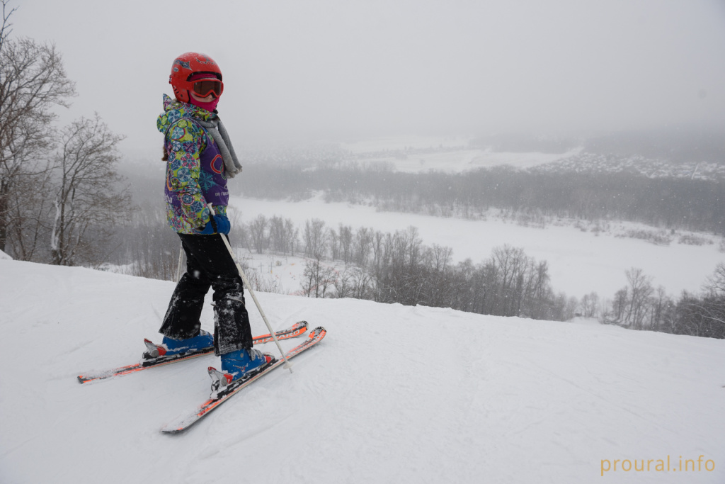 DSC_4427.jpg DSC_4427.jpg