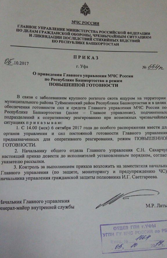 справка.jpg справка.jpg