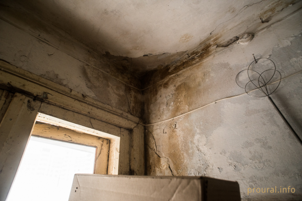 DSC_1573.jpg DSC_1573.jpg
